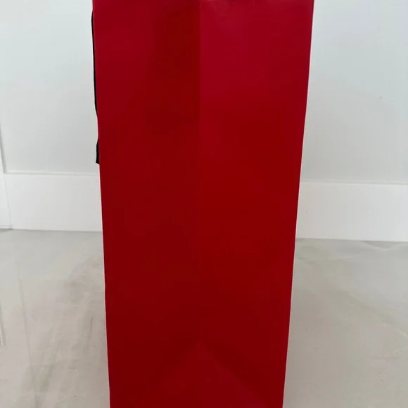 Salvatore Ferragamo Tall Shopping Bag Shoebox and 2 New Dust Bags PRICED TO SELL - Picture 12 of 15